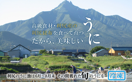 採れたてをそのまま！キタムラサキウニのルイベ１００ｇ×１０P＜利尻漁業協同組合＞