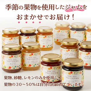 a16-036　無添加無農薬手作りジャム10本セット