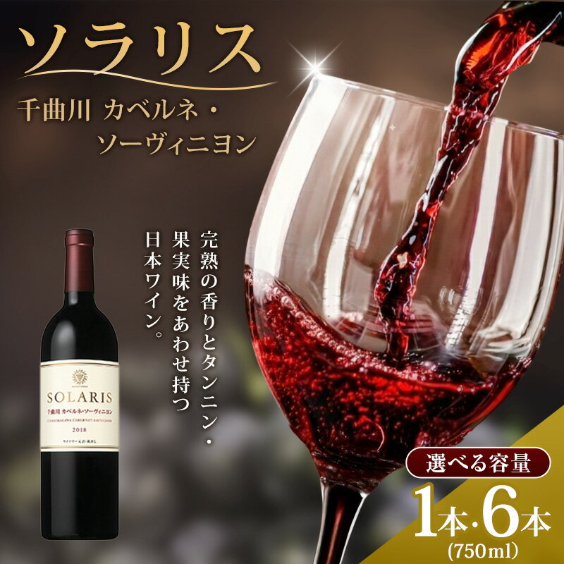 【ふるさと納税】ワイン 信州ワイン 赤 ソラリス 千曲川 カベルネ・ソーヴィニヨン ワインセット 750ml 選べる 1本 6本　お届け：寄附入金確認後、随時発送