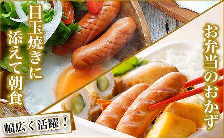 存在感のあるポークソーセージ1kg_AA-N403