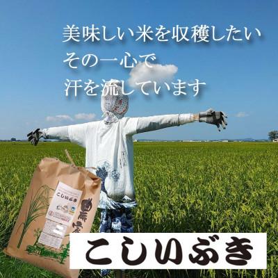 ふるさと納税 燕市 【8年産新米 先行予約】コシヒカリとはひと味違う美味しさ「こしいぶき」白米20kg