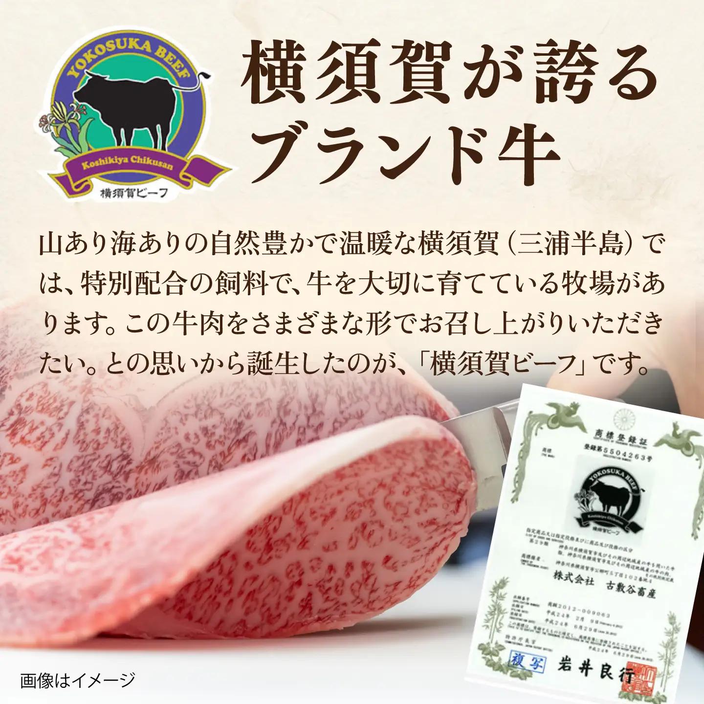 【数量限定20セット】横須賀ビーフ 切り落とし 約500g 【ヨコスカマルシェ・koshikiya（株）】[AKGO010]