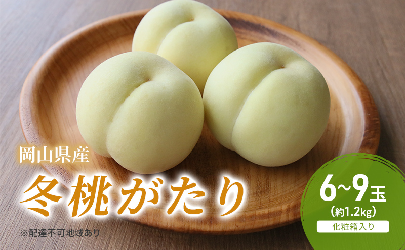 桃 2025年 先行予約 冬桃がたり 6～9玉（約1.2kg）化粧箱入り もも モモ 岡山県産 国産 フルーツ 果物 セット ギフト