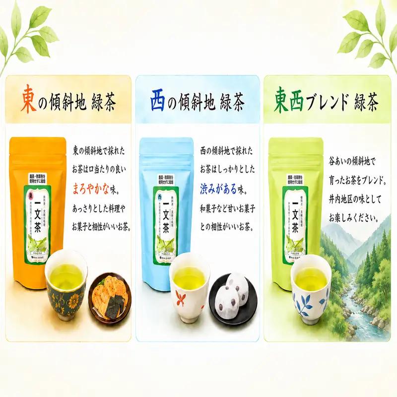 新茶 緑茶 東 西 ブレンド 飲み比べ セット 40g × 3袋 茶葉 【 一文茶 】