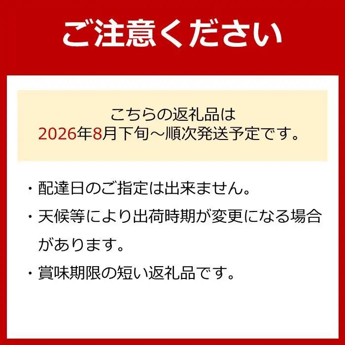 有田産 巨峰 1.2kg 3~4房 フルーツ 巨峰 ［2026年8月下旬以降発送］ 先行予約 和歌山 