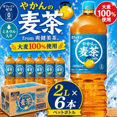 ふるさと納税 東海市 日本コカ・コーラ やかんの麦茶 from 爽健美茶 2L×6本 ペットボトル ケース