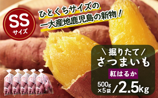 【期間限定！数量限定！】掘りたて さつまいも 紅はるか 2.5kg (500g×5袋) SSサイズ (自宅で簡単レシピ付き）FR-6 | 秋の味覚 2026年秋収穫 新物 さつまいも サツマイモ 感動