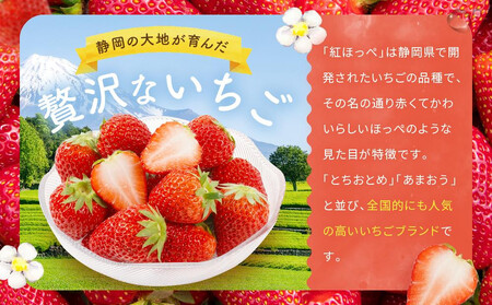 【2026年出荷の先行予約】2Lサイズ　 静岡いちご「紅ほっぺ」40粒　総重量約600ｇ　【20粒（約300ｇ）×2トレイ】 数量限定　人気　リピート多数