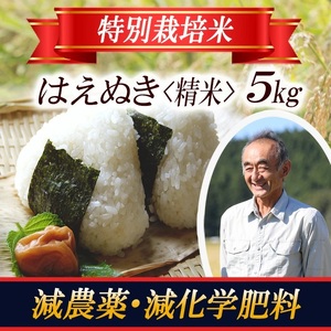 1398R07　特別栽培米 はえぬき5kg 山形県遊佐産 鳥海山の恵（令和7年産米）