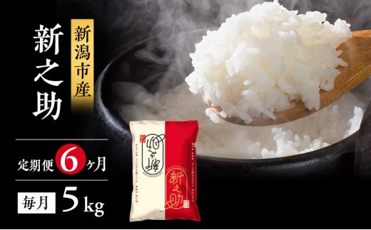 米 6ヶ月定期便 新潟 新之助 5kg 白米 精米 １等米 精米仕立てを発送致します 新潟県産 定期便 お米 5kg こめ コメ ブランド米 6ヶ月 半年 6回 お楽しみ