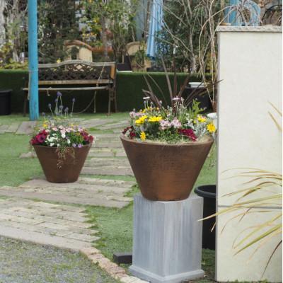 ふるさと納税 朝倉市 ビッグサイズ　季節のお花寄せ植え　直径50cmの鉢に季節のお花を植え込みました。 |  | 02