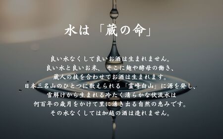 【先行予約】 日本酒 純米吟醸 加賀ノ月 風船 無濾過生 720ml×1本 春・夏限定 小松 石川【加越酒造】