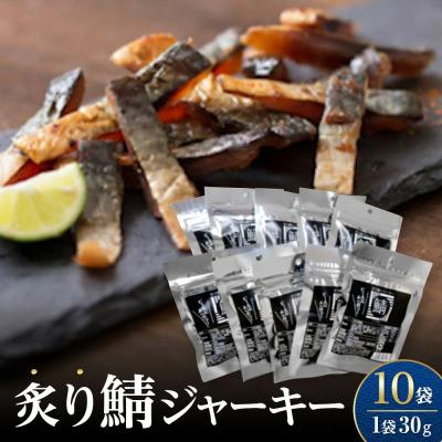 ふるさと納税 境港市 炙り鯖ジャーキー小袋(30g×10P)