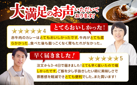【3回定期便】高知土佐あかうしビーフカレー 10食セット/ レトルト カレー あか牛 土佐あかうし 牛肉 牛カレー 保存食 常備 人気 おすすめ 高知市 【株式会社 四国健商】[ATAF137]