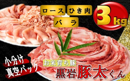豚肉 セット 黒岩豚太くんＩ 約3㎏　(ロース、バラ、ひき肉、あらびき肉) 小分け 真空パック E0191 （くろいわ産地直売所）焼肉 ハンバーグ 料理 調理 食事 お歳暮 ギフト 栄養豊富 ビタミンB 四元豚 希少豚 お米育ち豚 