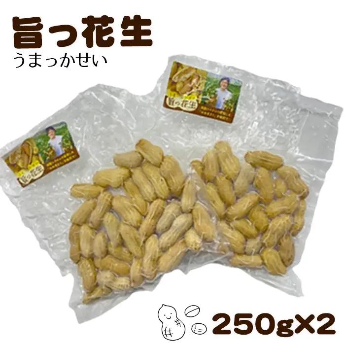 旨っ花生 500g | 落花生 ピーナッツ 豆 茹で豆 おおまさり 大粒 歯ごたえ 甘み 海水塩 おいしい 急速冷凍 簡単 手軽 おつまみ おやつ こだわり 埼玉県 越谷市