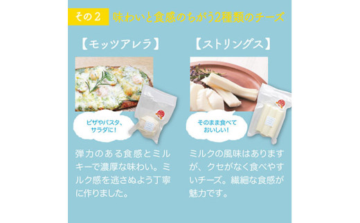 り25-011 大山ホワイトチーズ