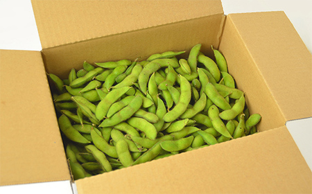 與惣兵衛（よそべえ）の白山だだちゃ豆 晩生品種 尾浦（おうら）1.8kg えだ豆 豆類 豆 枝豆 えだまめ 野菜 食品 山形県 FSY-1300