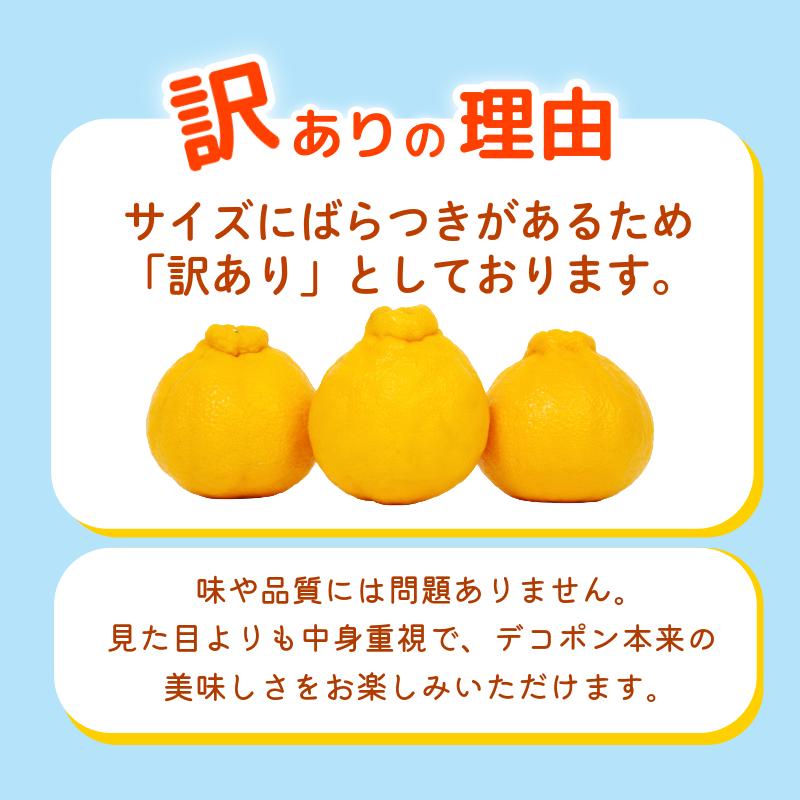デコポン 訳あり 3㎏ 柑橘 フルーツ 旬 でこぽん 濃厚 甘い 厳選 国産 徳島県 【2月上旬より順次発送】
