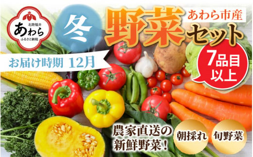 【先行予約】農家直送 冬野菜セット 1箱 7品目以上 《元気に育った新鮮野菜！》※2024年12月上旬以降発送