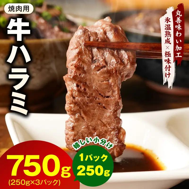 牛肉 ハラミ 750g 小分け 250g×3P 氷温熟成×極味付け