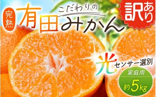【訳あり】農家直送 有田みかん 約5kg ご家庭用 サイズ混合 ※2026年11月中旬～2027年1月より順次発送予定（お届け日指定不可）※北海道・沖縄・離島への配送不可 訳ありみかん みかん ミカン 蜜柑 柑橘 フルーツ 果物 くだもの 温州みかんサイズ混合 訳ありみかん 温州みかん 有機質肥料100% ふるさと納税 柑橘 有田 産地直送【nuk161E】
