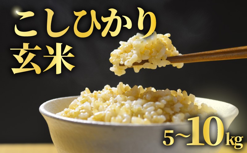 
                  【先行予約】 玄米 選べる 5kg / 10kg こしひかり 令和8年産 米 コシヒカリ 2026年 8年産 R8米 R8 令和8年産米 お米 ご飯 こめ コメ kome ごはん ライス お弁当 家庭用 備蓄 防災 こだわり おいしい 高品質 送料無料 国産 千葉県産 千葉 千葉県 旭市 BANJYO farm bnj
                