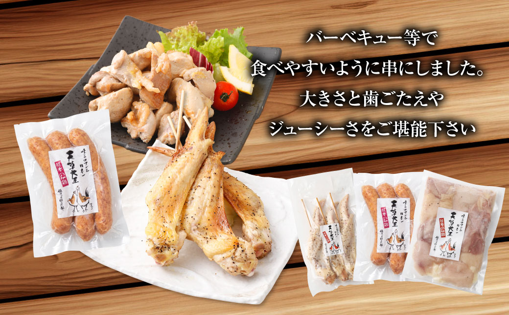 天草大王プレミアムバーベキューセット（小） 計9パック 天草大王 焼鳥 手羽先 串 ウインナー コロコロカット