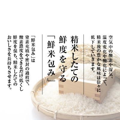ふるさと納税 佐渡市 【毎月定期便】雪温精法　佐渡産こしひかり10kg全3回 |  | 03