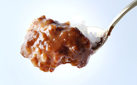 岐阜の名店・柳家 飛騨牛カレー 2人前 / カレー 飛騨牛カレー レトルト / 恵那市 / 陶ホープフル[AUFV001]