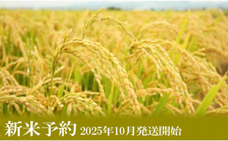 【新米予約・令和7年産】定期便３ヶ月【無洗米】2kg南魚沼しおざわ産コシヒカリ【2025年10月上旬より順次発送予定】