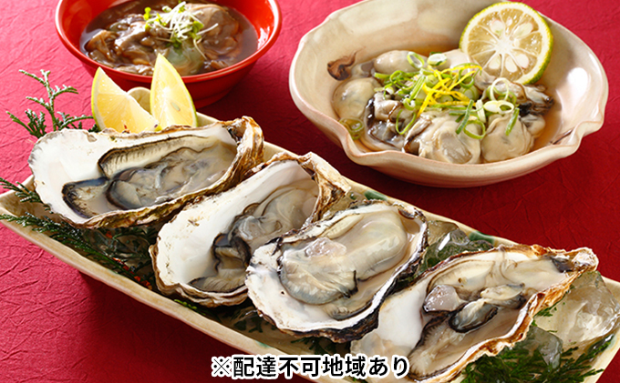 秀栄水産 瀬戸内の 牡蠣 豪華セット（むき身400g&殻つき約2kg&塩辛90g） 海の幸 海のミルク 海鮮 貝 岡山県 瀬戸内市 虫明湾