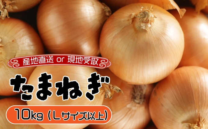 
            ≪通常配送or現地受取が選べる!≫ 市場の目利き 北海道岩見沢産たまねぎ 10kg
          
