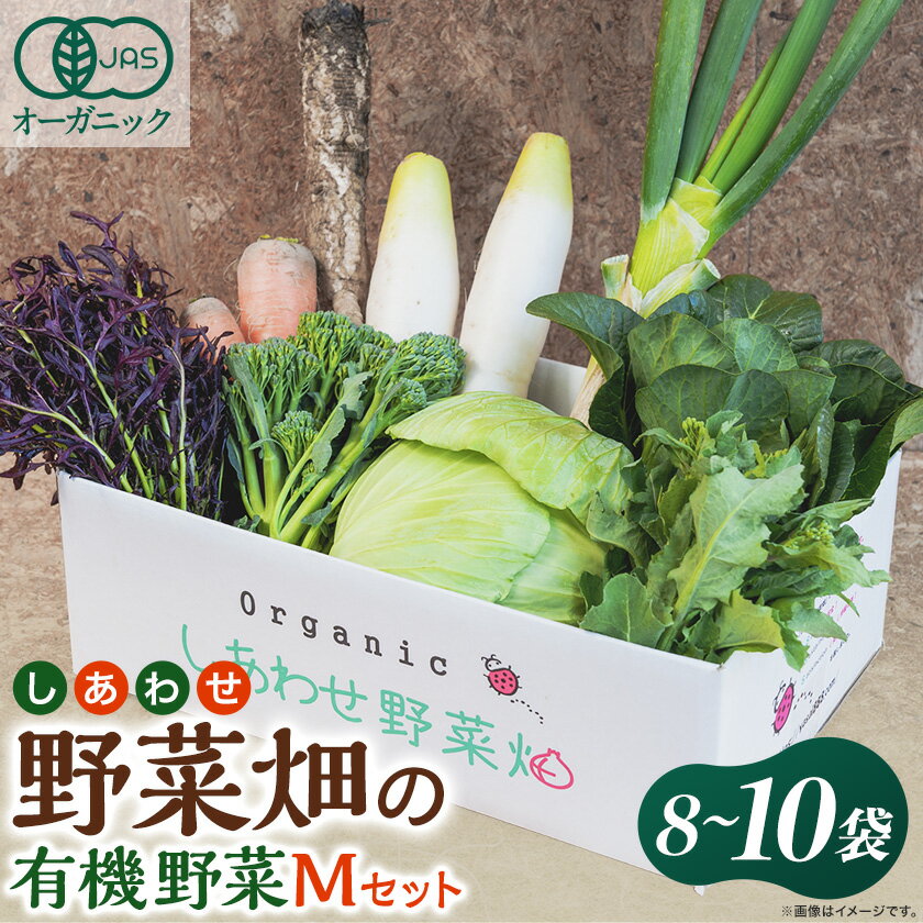 【ふるさと納税】しあわせ野菜畑の有機野菜　Mセット　(安心の有機JAS認証　旬のオーガニック野菜　農場直送便)【配送不可地域：離島・北海道・沖縄県・四国・九州】【1493464】