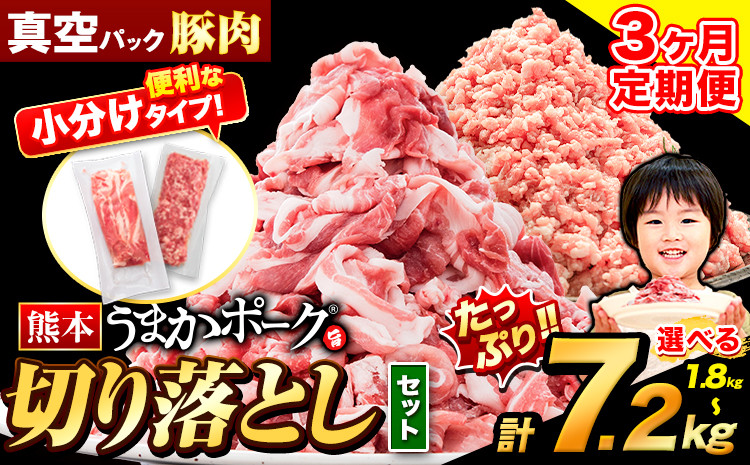 
            【3ヶ月定期便】豚肉 切り落とし ＆ ミンチ ハーフセット 1.8kg ~ 7.2kg 豚 細切れ こま切れ 豚こま 豚小間切れ 豚しゃぶ 小分け 訳あり 訳有 ひき肉 うまかポーク 傷 規格外 ぶた肉 ぶた 真空パック 数量限定 簡易包装 冷凍 《お申込み月の翌月から出荷開始》
          