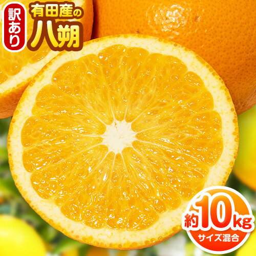 【先行予約】【ふるさと納税】【手選果・訳あり】有田産の八朔 10kg（サイズ混合） 厳選館 《2026年1月下旬-2月下旬頃出荷》和歌山県 日高町 はっさく 訳ありはっさく ハッサク