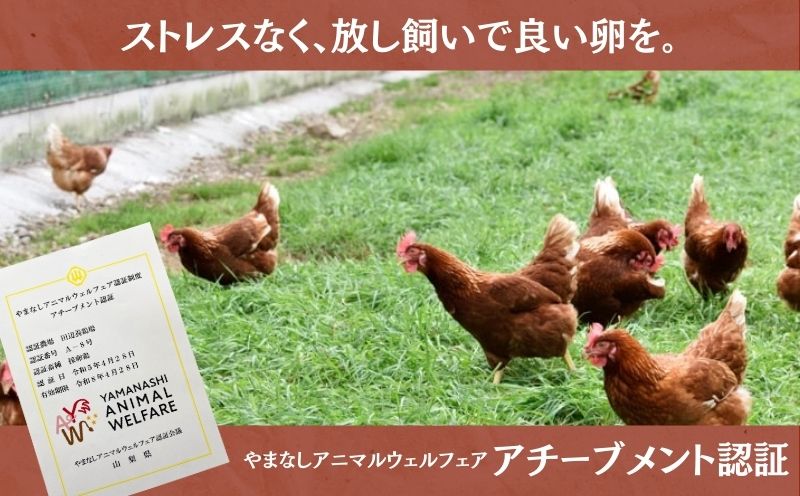 【定期便】忍野の平飼い放牧卵　12か月連続定期便（毎月30個×12か月　合計360個）||　　鶏卵　都留　忍野　新鮮　こだわり　名水　卵　たまご　玉子　タマゴ　大容量　お得　おしののたまご　濃厚　平飼