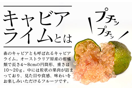 【冷凍】キャビアライム（ピンク）100g（8～15個）徳島産 │徳島県 那賀町 黄金の村 木頭 ライム キャビアライム フィンガーライム 冷凍 料理 スイーツ お菓子 トッピング お酒 柑橘 フルーツ
