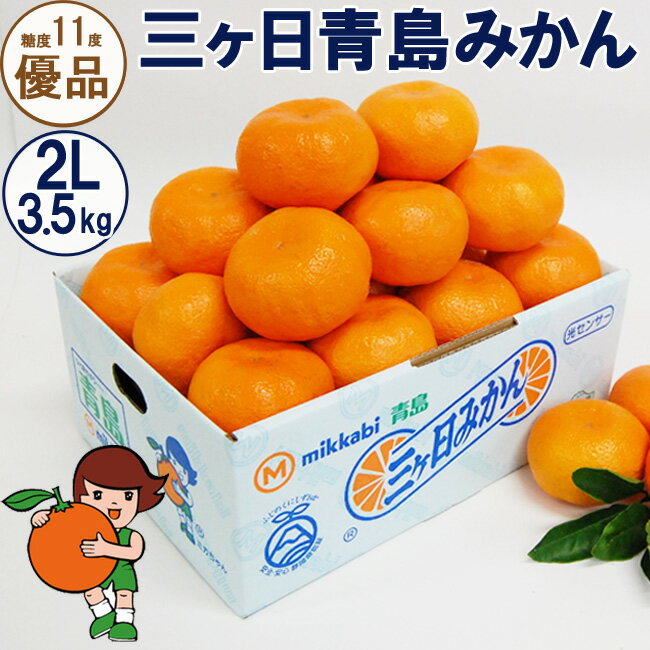 【ふるさと納税】三ヶ日青島みかん【優品】2Lサイズ 3.5kg (20個前後) ミカン 果物 くだもの フルーツ 甘い 浜松市　お届け：2026年1月中旬～2026年2月下旬