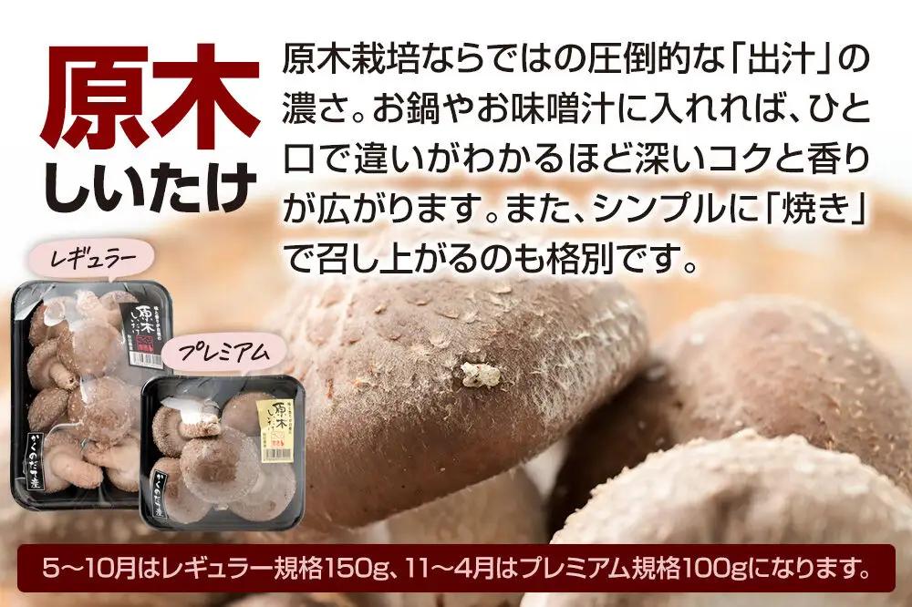 みちのくの小京都・角館が育んだ「おまかせセット」（桜えのき、原木しいたけ、生きくらげ、乾燥きくらげ、訳あり出汁取り用乾燥しいたけ、訳あり乾燥きくらげ）合計約300g(3品前後)きのこ詰合わせセット