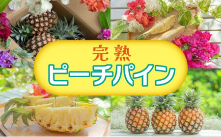 ☆新感覚の味わい☆ 桃のような芳醇な香りのする『西表島産 完熟ピーチパイン』約3.5Kg