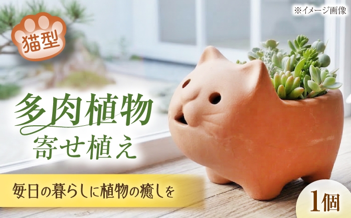 
                  多肉植物 寄せ植え ねこ型 / 多肉植物 寄せ植え 鉢植え テラコッタ 埴輪カラー 園芸 ガーデニング 藤井寺 古墳 猫 はにわ テラコッタ ユニーク 寄せ植え ガーデニング 多肉植物 鉢植え おすすめ 人気 たにく 多肉 サボテン 観葉植物 テラコッタ 猫 ネコ ねこ インテリア グリーン 室内 ガーデン 大阪 / 大阪府藤井寺市/JamFlowerSalon [BLAW007]
                