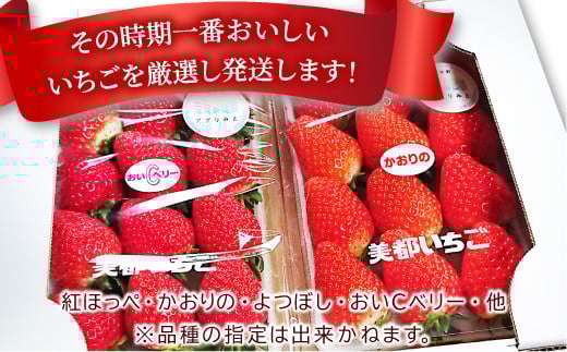 その時期に一番おいしいものを厳選し発送いたします♪わずか1か月間、甘みが一番のったいちごを味わっていただきたいと思います(^^)