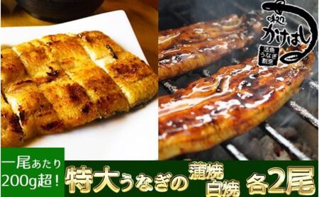 うなぎ 特大 かけはし 蒲焼き・白焼き 秘伝のタレ付 うなぎ【蒲焼き・白焼き 各2尾】