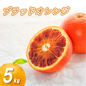 【2027年2月上旬頃より順次発送】 ブラッドオレンジ 5kg | 数量選択可 みかん ミカン 蜜柑 柑橘 数量限定 愛媛県産 松山市 中島 低農薬 愛媛 ふるさと納税【NO0281】
