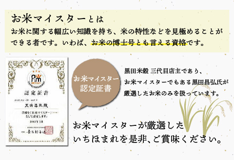 【令和6年産】いちほまれ 10kg（5kg × 2袋）