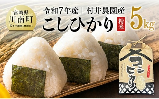 米 【令和7年産】宮崎県産米　村井農園産こしひかり（精米）5kg 【 米 お米 白米 精米 こしひかり 国産 宮崎県産 おにぎり 】☆[C10004]