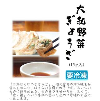 【ふるさと納税】大和野菜餃子 30個(15個×2・1個20g) ヤマトポーク 人気 おすすめ 野菜 餃子 冷凍 簡単 豚肉 おかず 中華 惣菜 やまと餃子 ギフト プレゼント 贈答 お礼の品 本格中華 地元野菜 自慢の餃子 お徳用