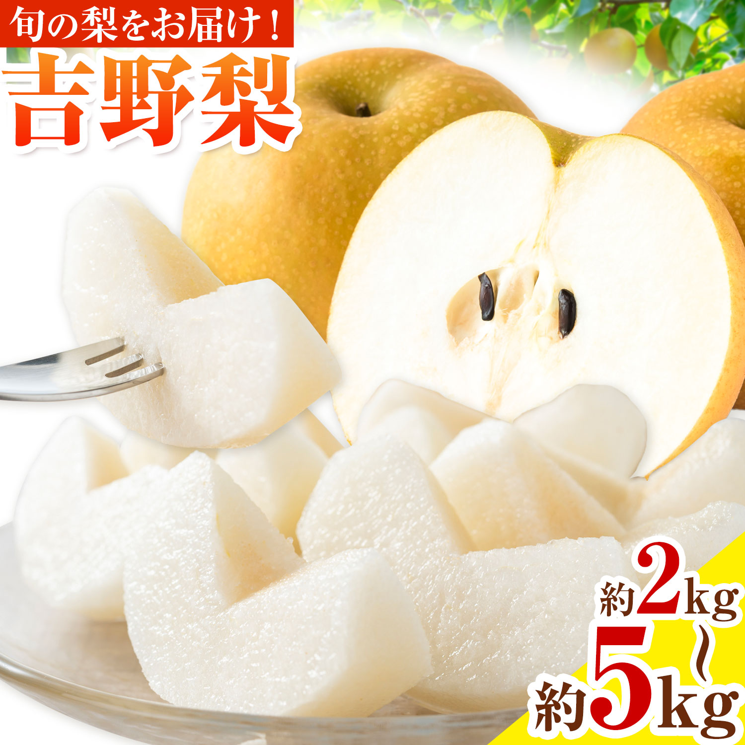 【ふるさと納税】梨 吉野梨 選べる 約2kg 約5kg 熊本県産 旬の品種 幸水 豊水 あきづき 中九州青果株式会社《8月上旬-9月下旬頃出荷》熊本県 氷川町 果物 フルーツ なし 和梨 みずみずしい 甘み 果汁 シャリッと 旬 果汁たっぷり