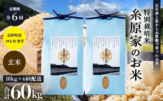 
                  新米 予約受付 R8年産（玄米）【定期便 全6回】特別栽培米「糸原家のお米」高野町産 コシヒカリ 10キロ(5キロ×2袋) | 10kg×6回 合計60kg 6ヶ月 6ヵ月 6か月 令和8年産
                